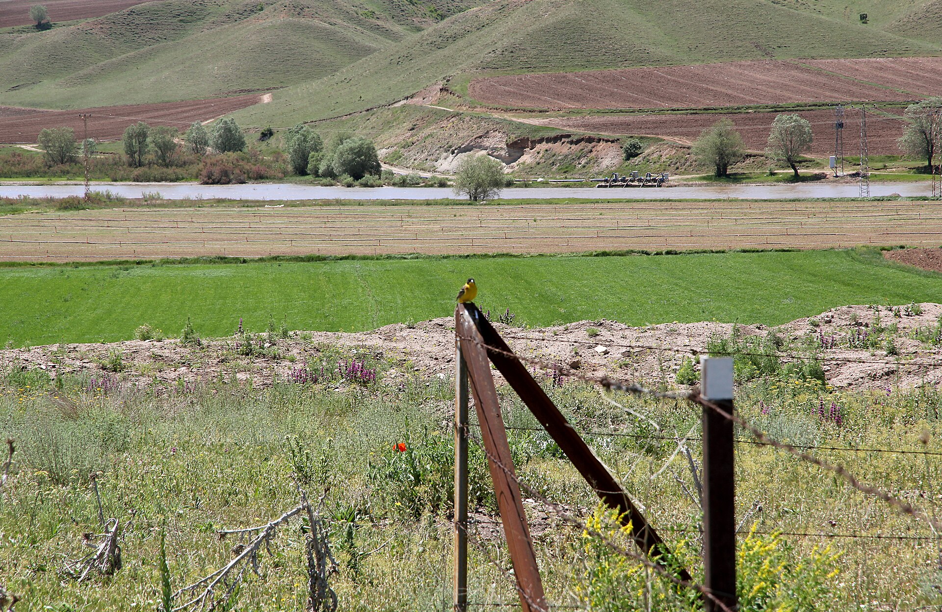 View from a grassy archaeological mound over a green river valley in central Anatolia