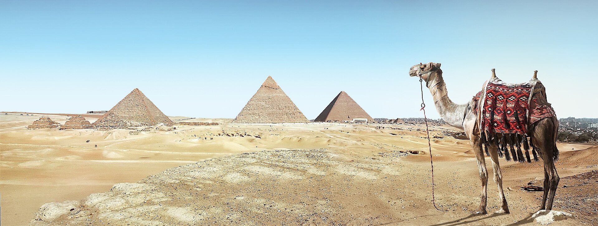The Giza pyramids in the desert, with Menkaure's pyramid and three small queens' pyramids in front and a camel nearby